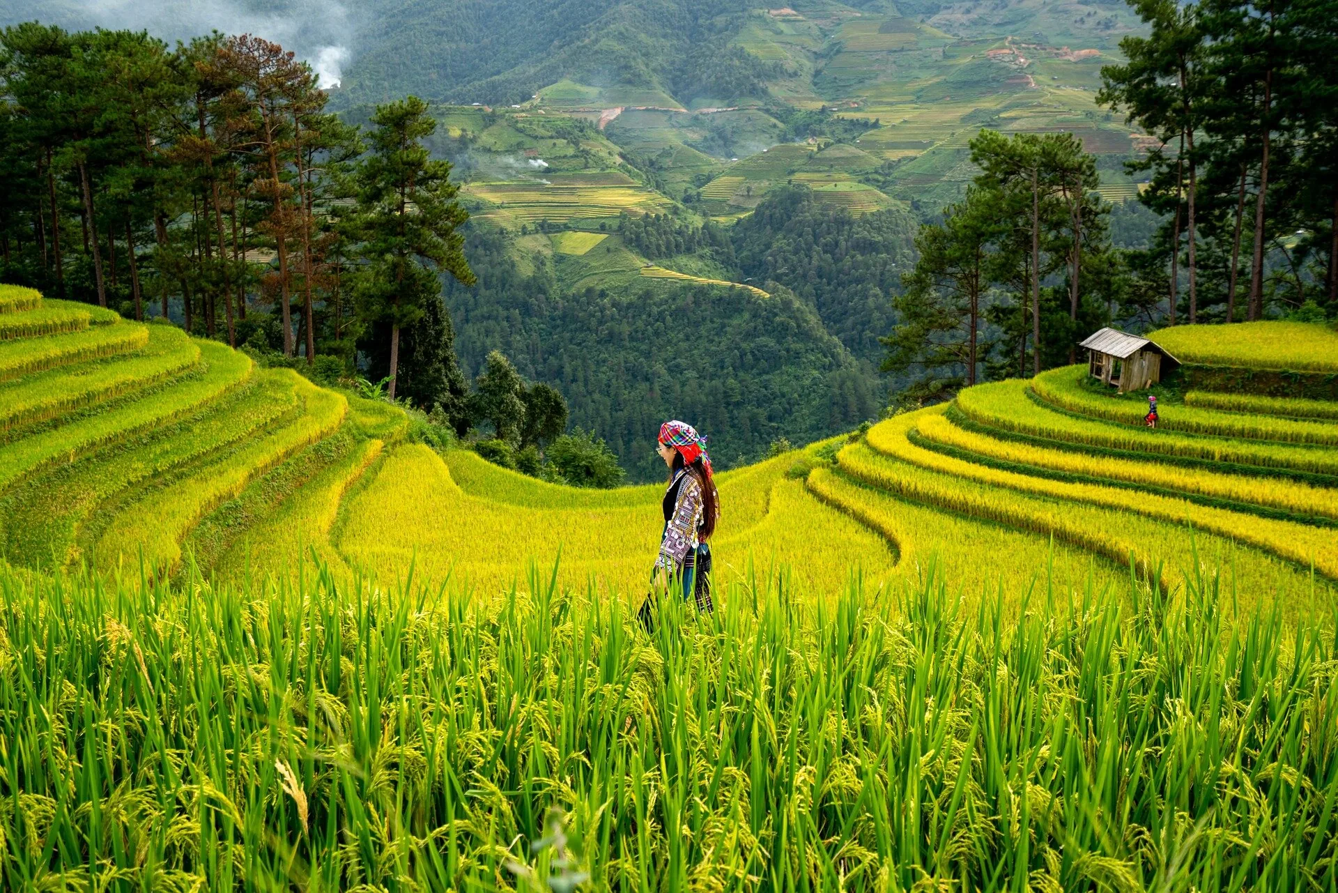 Karnataka’s Smart Farming Revolution: How Technology, Sustainability and Government Support Are Transforming Agriculture