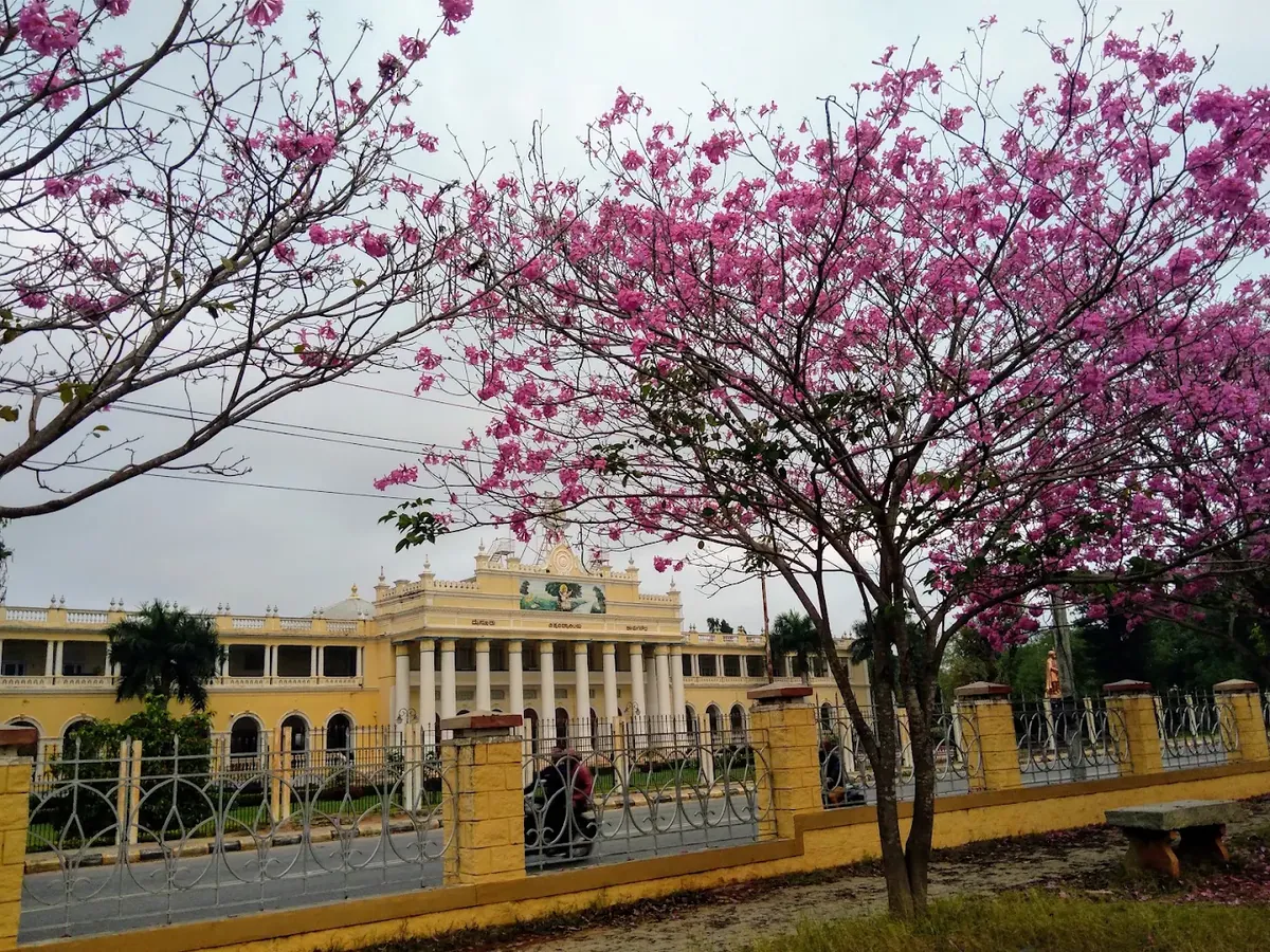 University of Mysore: A Century of Excellence Shaping India’s Intellectual Legacy
