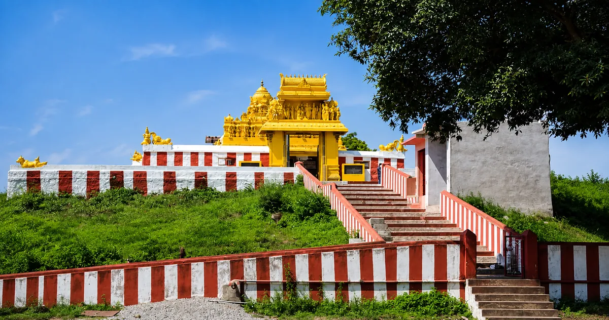 Into the Wild: Bandipur & the Living Heart of the Nilgiris